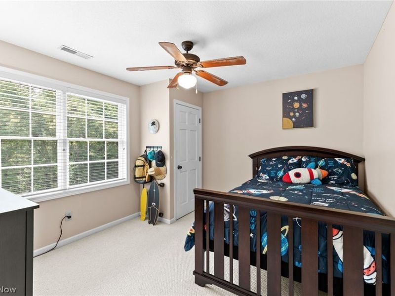 1 Cayuse Trail, Malvern, OH 44644 Photo 30