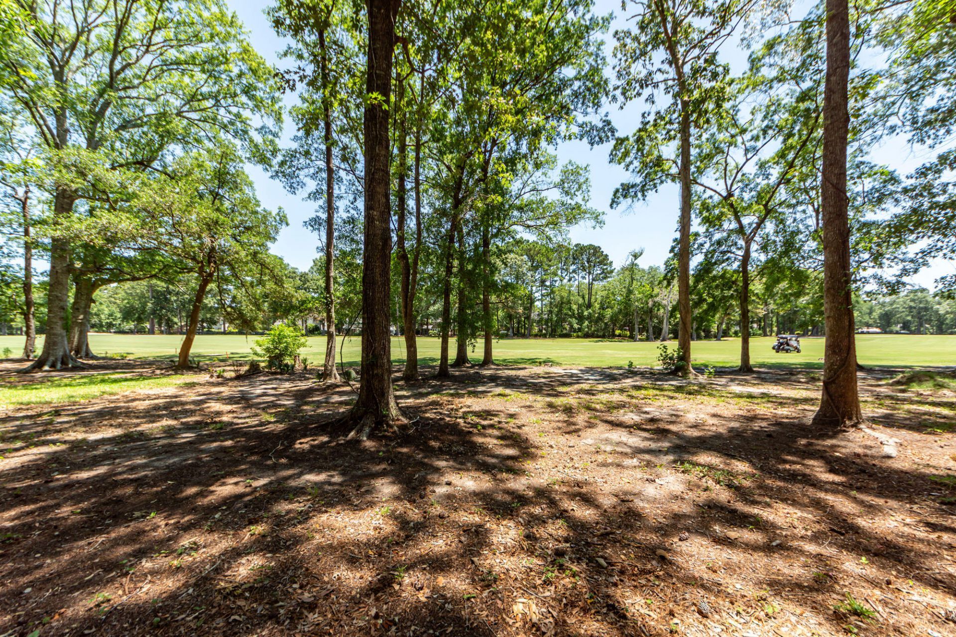 1071 Deleisseline Boulevard Photo 61