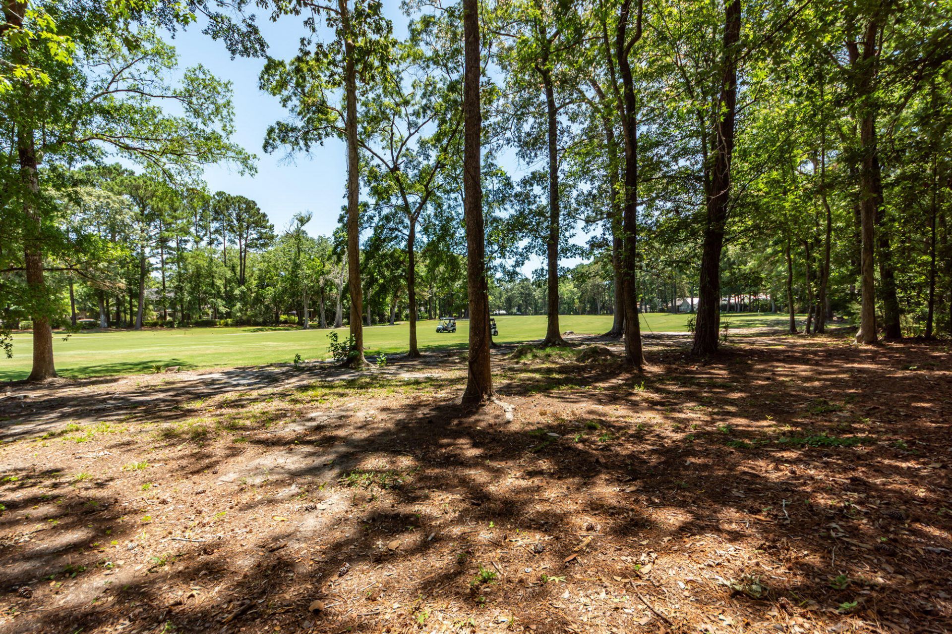 1071 Deleisseline Boulevard Photo 62