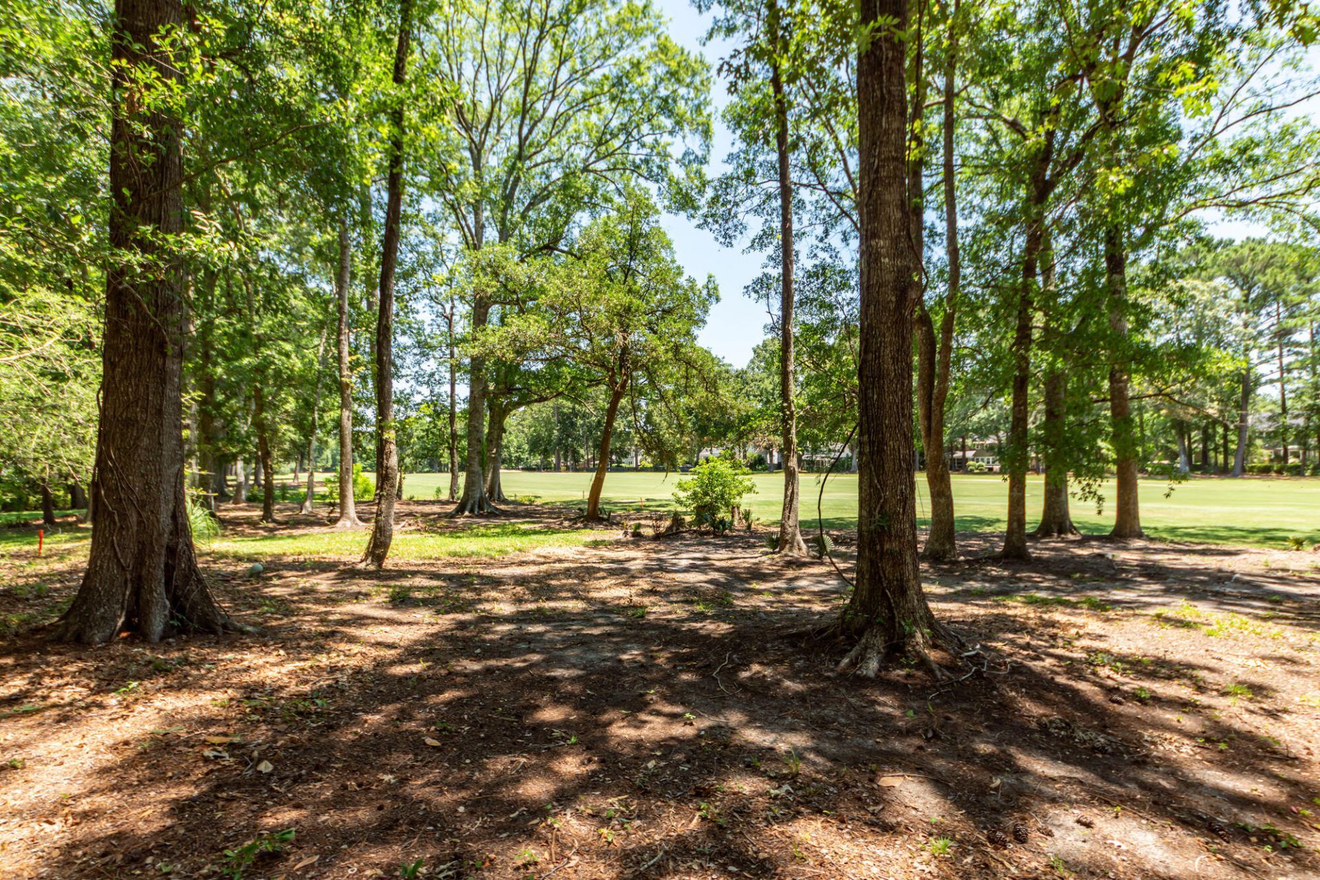 1071 Deleisseline Boulevard Photo 63