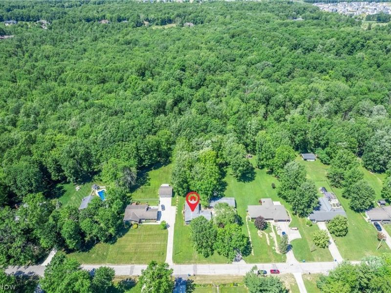 24270 Forestview Drive, Columbia Station, OH 44028 Photo 46
