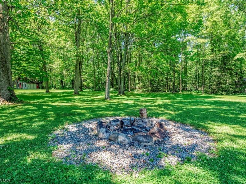24270 Forestview Drive, Columbia Station, OH 44028 Photo 6