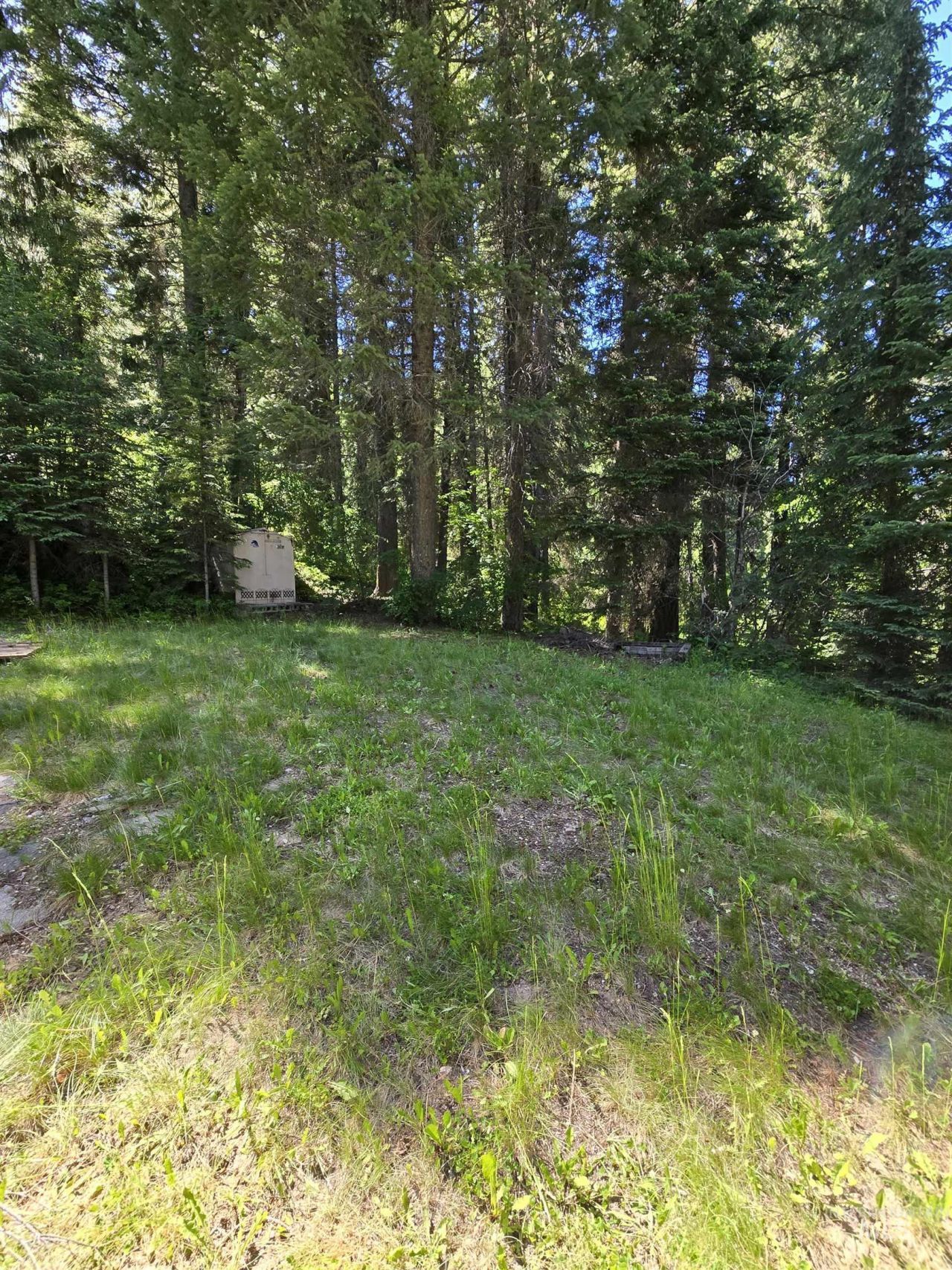 5 Black Bear, Cascade, ID 83611 Main Photo