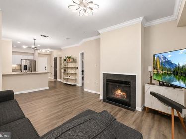 11397 ARISTOTLE DRIVE, Unit 11-409, FAIRFAX, VA 22030