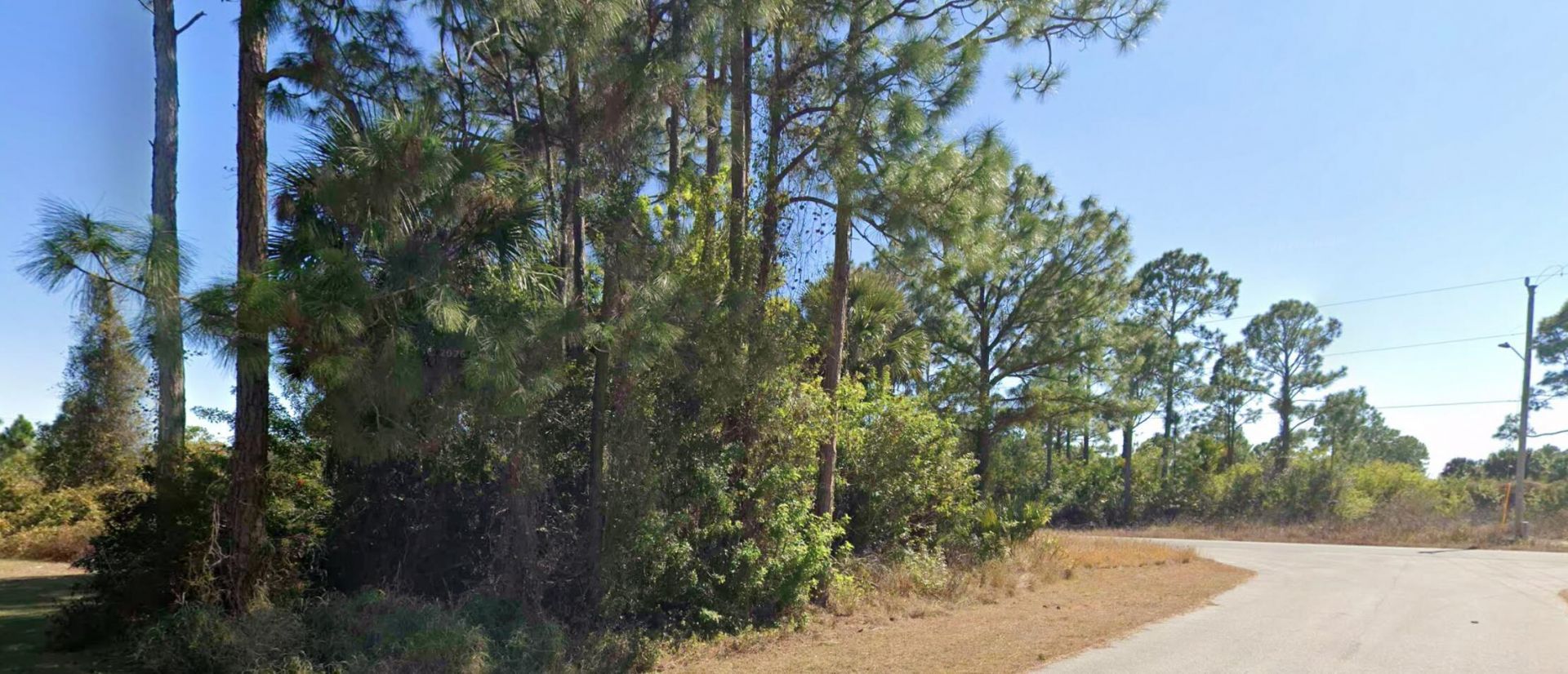723 Bianca Avenue S, Lehigh Acres, FL 33974 Photo