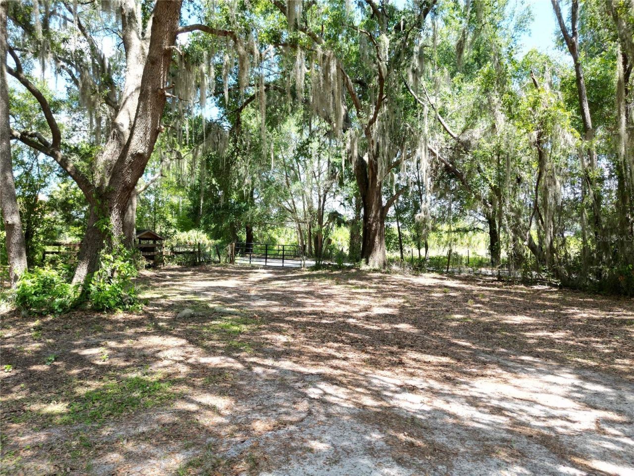 10645 SE 145th Street , Summerfield, FL 34491 Photo