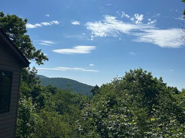 82 WARRIOR RUN, Roseland, VA 22967