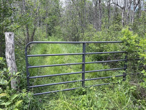 TBD S Geneva Road, Bessemer Twp, MI 49911