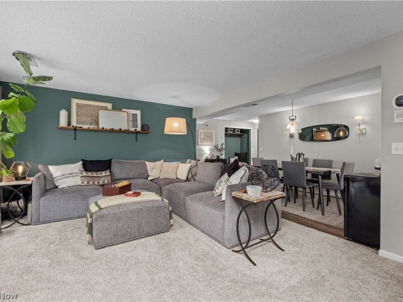 6231 Hidden Creek Drive , Unit 232, Lorain, OH 44053 Photo 4