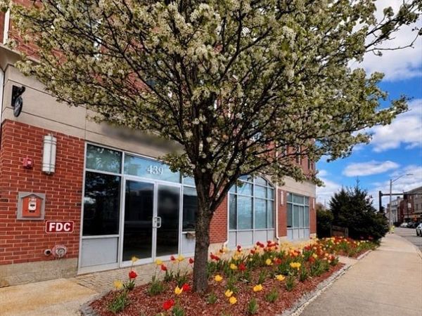 441 Washington St, Unit 203, Dedham, MA 02026