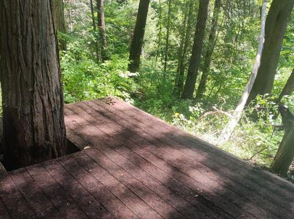 18290 Backwoods Rd, Nevada City, CA 95959 Photo
