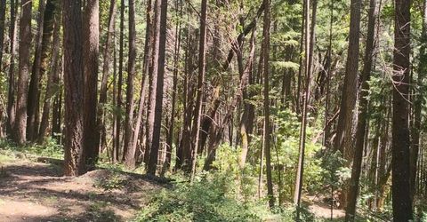 18290 Backwoods Rd, Nevada City, CA 95959 Photo
