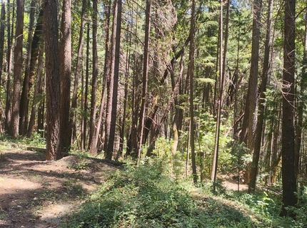 18290 Backwoods Rd, Nevada City, CA 95959 Photo