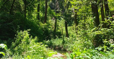 18290 Backwoods Rd, Nevada City, CA 95959 Photo
