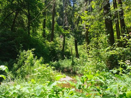 18290 Backwoods Rd, Nevada City, CA 95959 Photo