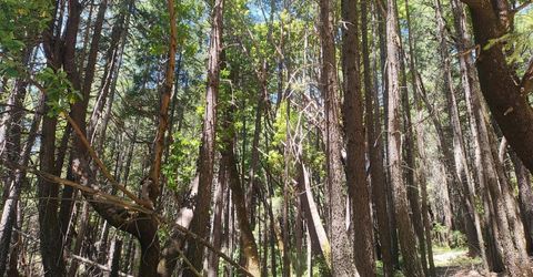18290 Backwoods Rd, Nevada City, CA 95959 Photo