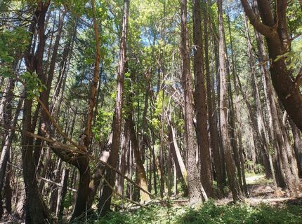 18290 Backwoods Rd, Nevada City, CA 95959 Photo