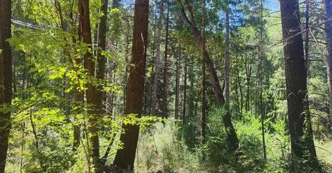 18290 Backwoods Rd, Nevada City, CA 95959 Photo