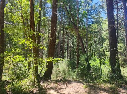 18290 Backwoods Rd, Nevada City, CA 95959 Photo