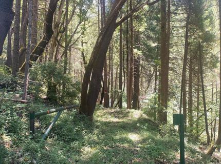 18290 Backwoods Rd, Nevada City, CA 95959 Photo