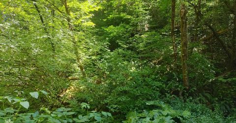 18290 Backwoods Rd, Nevada City, CA 95959 Photo