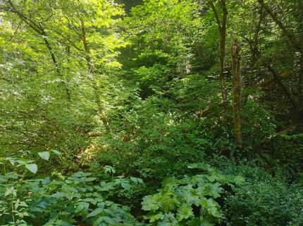 18290 Backwoods Rd, Nevada City, CA 95959 Photo