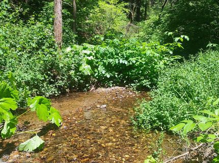 18290 Backwoods Rd, Nevada City, CA 95959 Photo