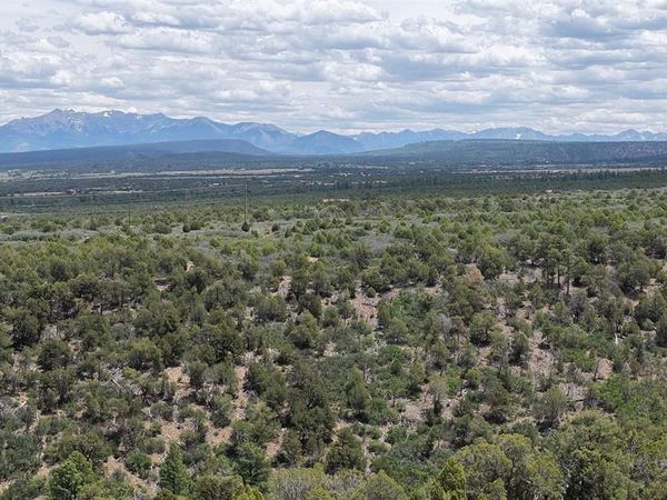 Unassigned Juniper Drive (42.2Y Road), Norwood, CO 81423