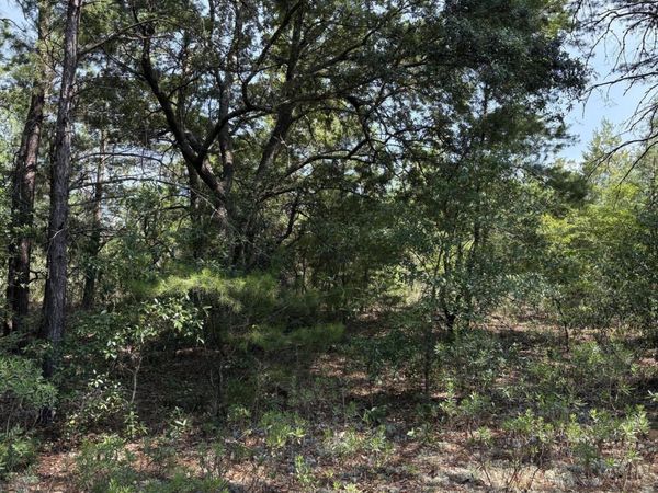 Lot 2 Dumajack Road , Chipley, FL 32428