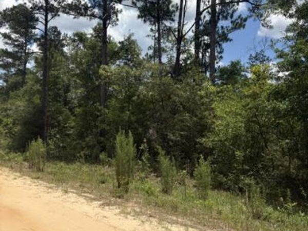 0 Tiger Avenue , Unit LT3 BLK75, Marianna, FL 32448