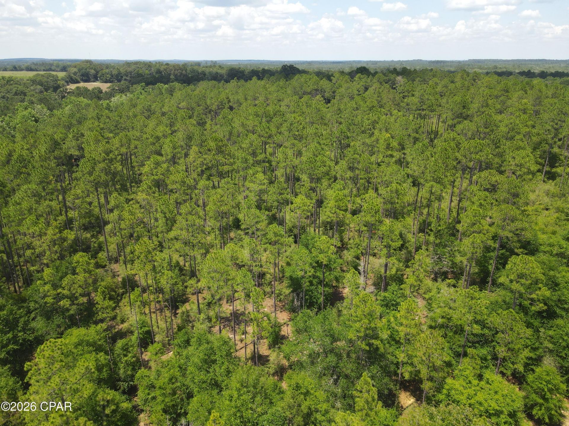 0 St Hwy 83, Defuniak Springs, FL 32433 Main Photo