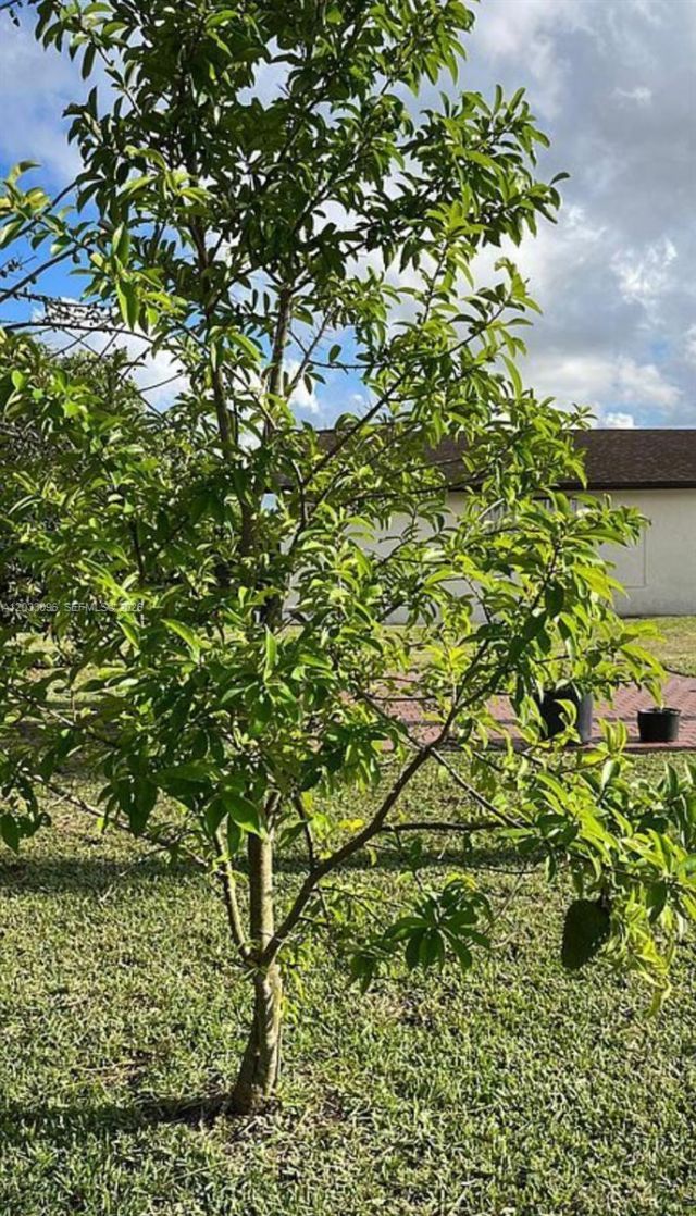 1475 NW 19 St , Homestead, FL 33030 Photo