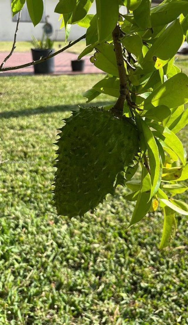 1475 NW 19 St , Homestead, FL 33030 Photo