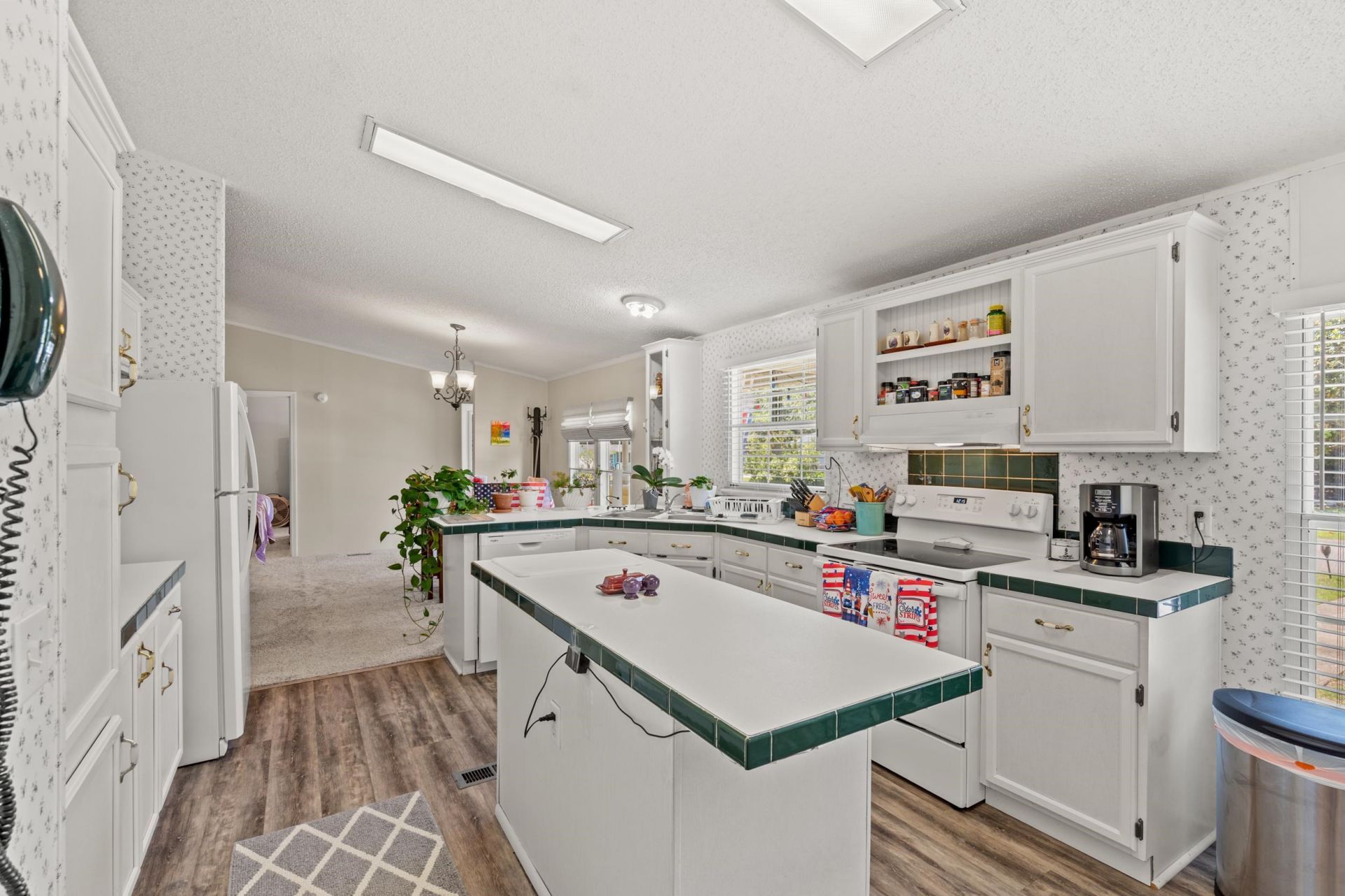 527 Grapevine St.  Photo 11