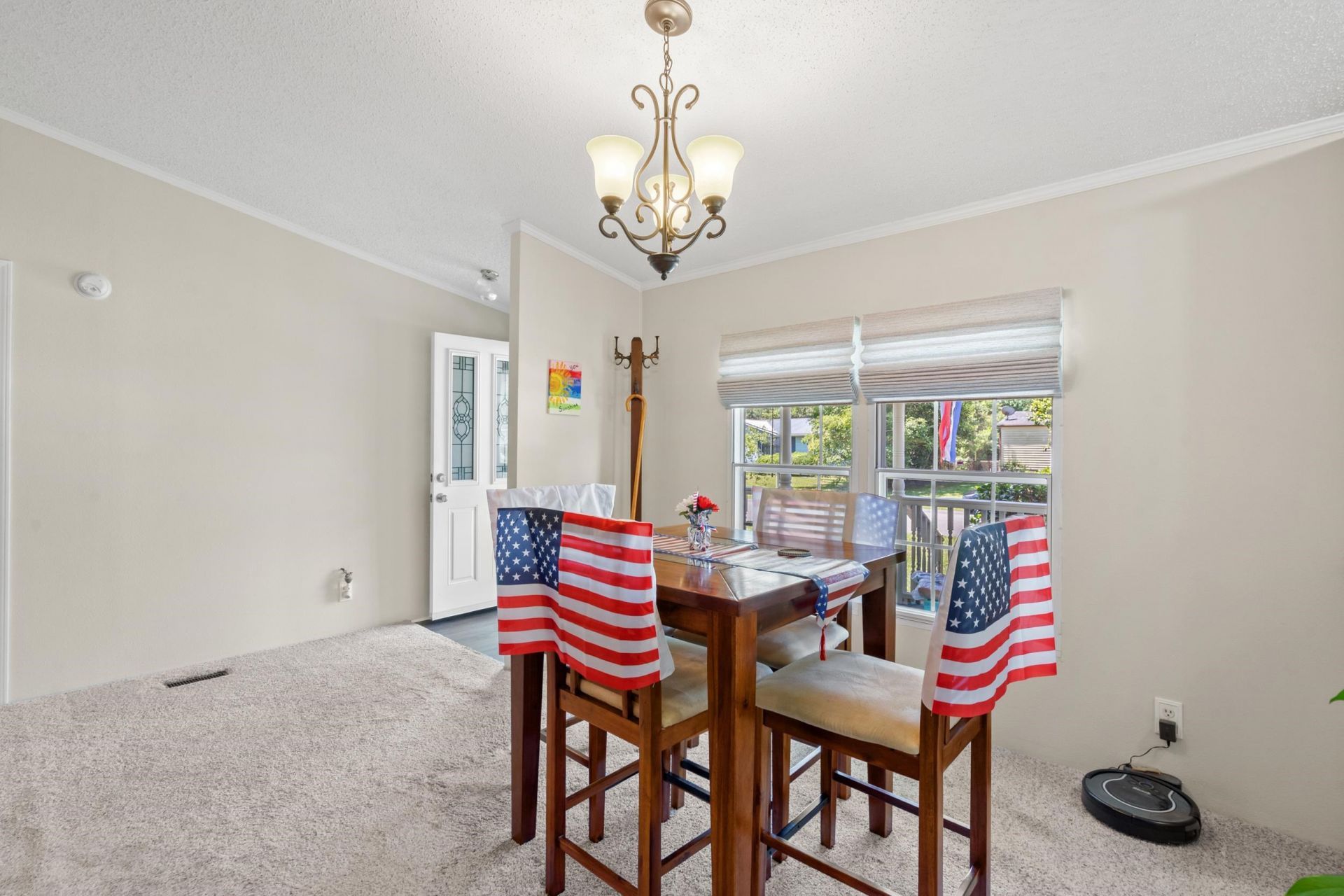 527 Grapevine St.  Photo 8