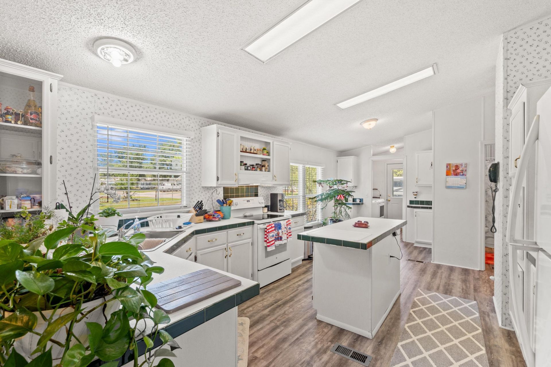 527 Grapevine St.  Photo 9