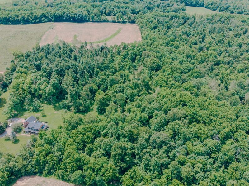 0 Nettle Creek Road, Urbana, OH 43078 Photo 7