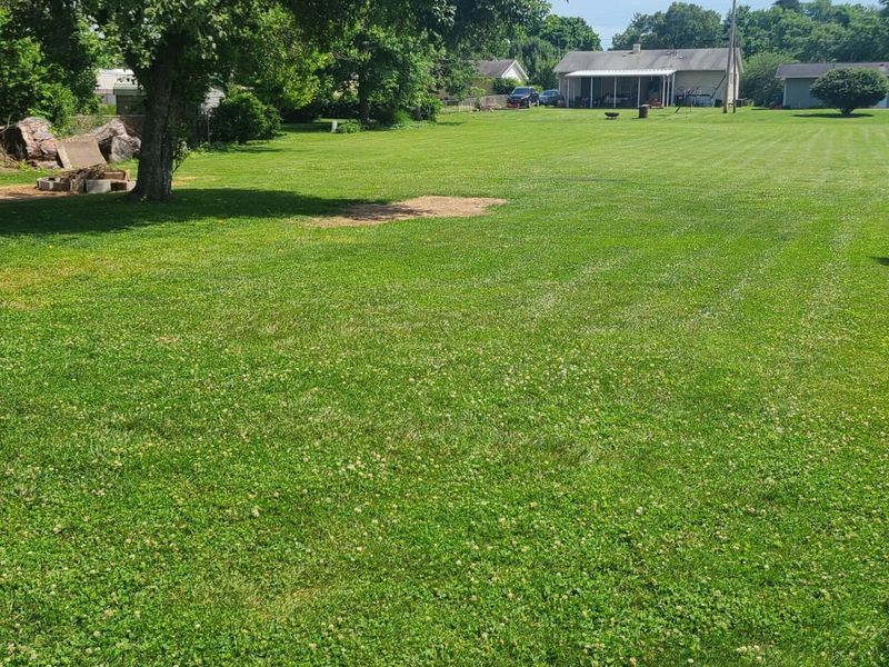 391 Moull Street, Newark, OH 43055 Photo 10