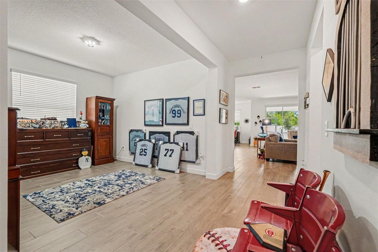 10892 Ibis Brook Court , Land O Lakes, FL 34638 Photo