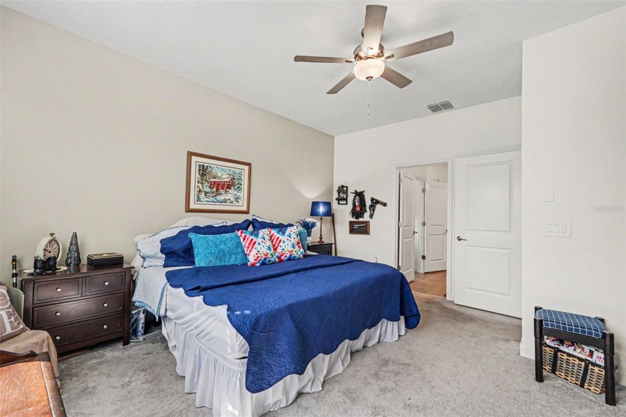 10892 Ibis Brook Court , Land O Lakes, FL 34638 Photo