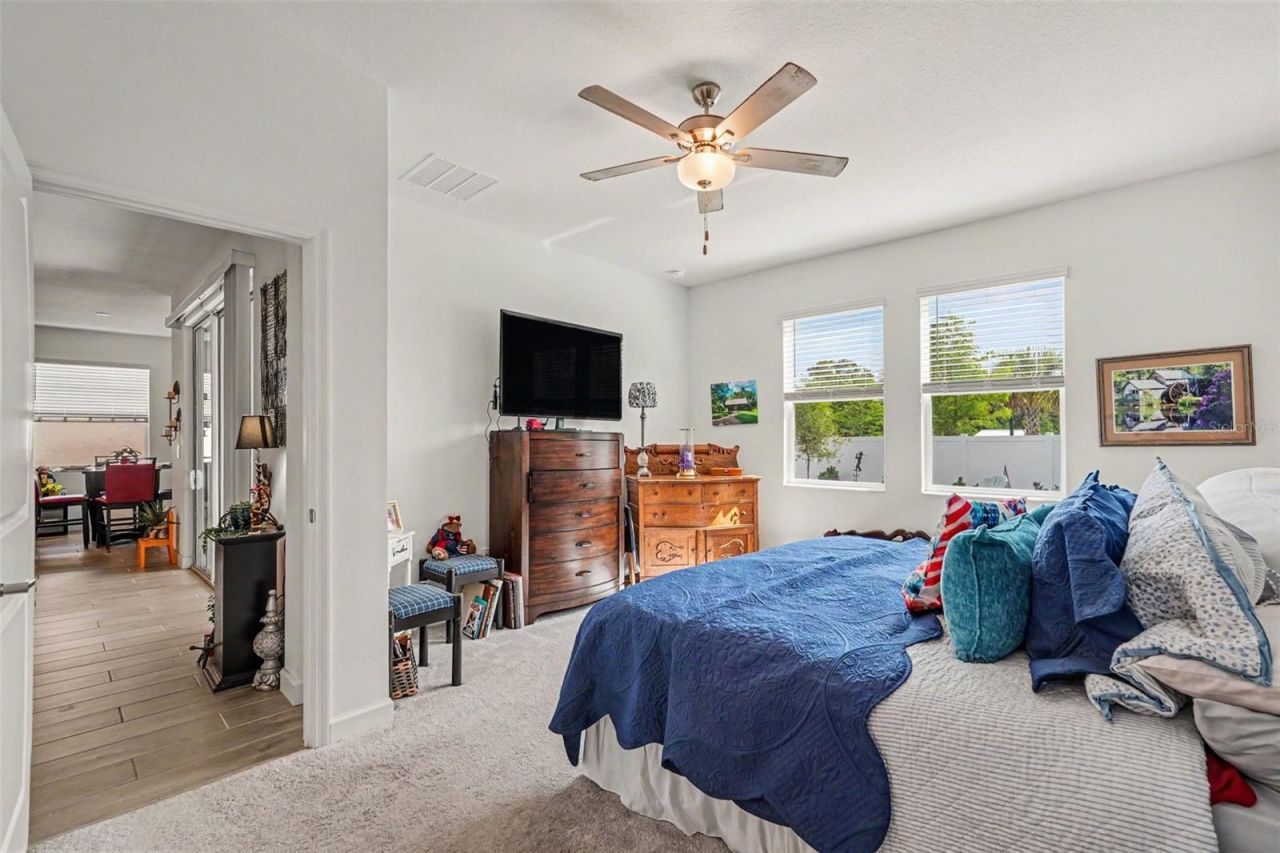 10892 Ibis Brook Court , Land O Lakes, FL 34638 Photo