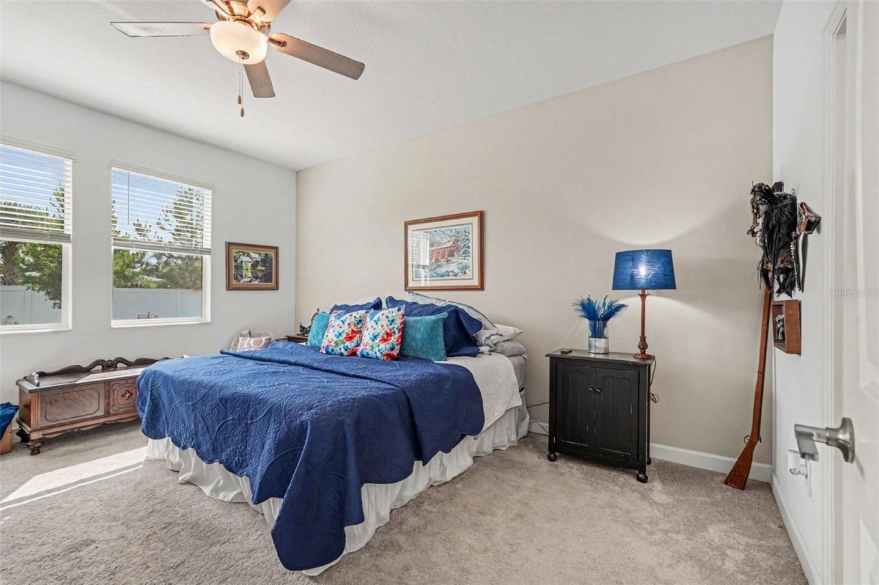 10892 Ibis Brook Court , Land O Lakes, FL 34638 Photo