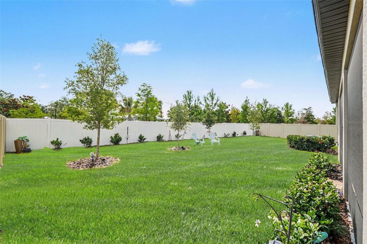 10892 Ibis Brook Court , Land O Lakes, FL 34638 Photo