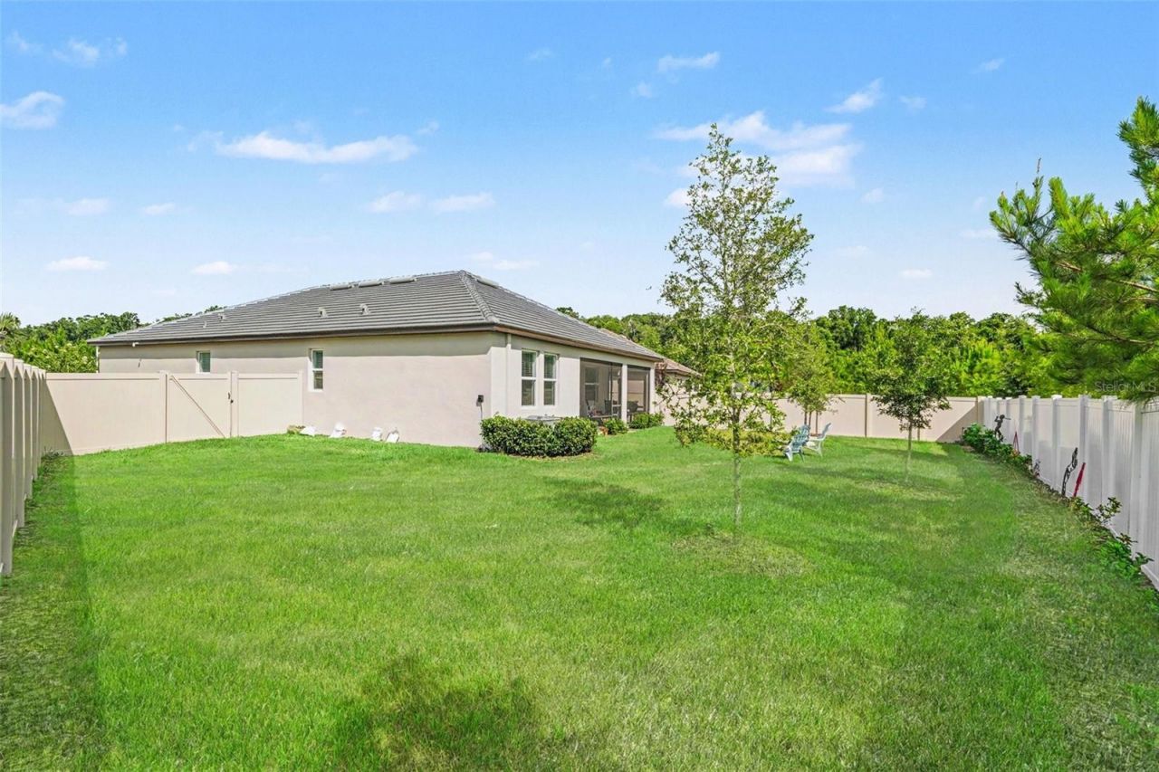 10892 Ibis Brook Court , Land O Lakes, FL 34638 Photo
