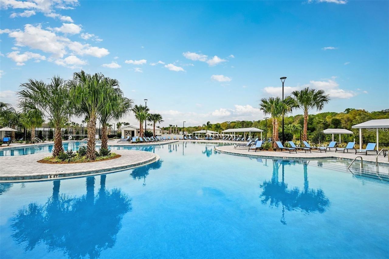 10892 Ibis Brook Court , Land O Lakes, FL 34638 Photo