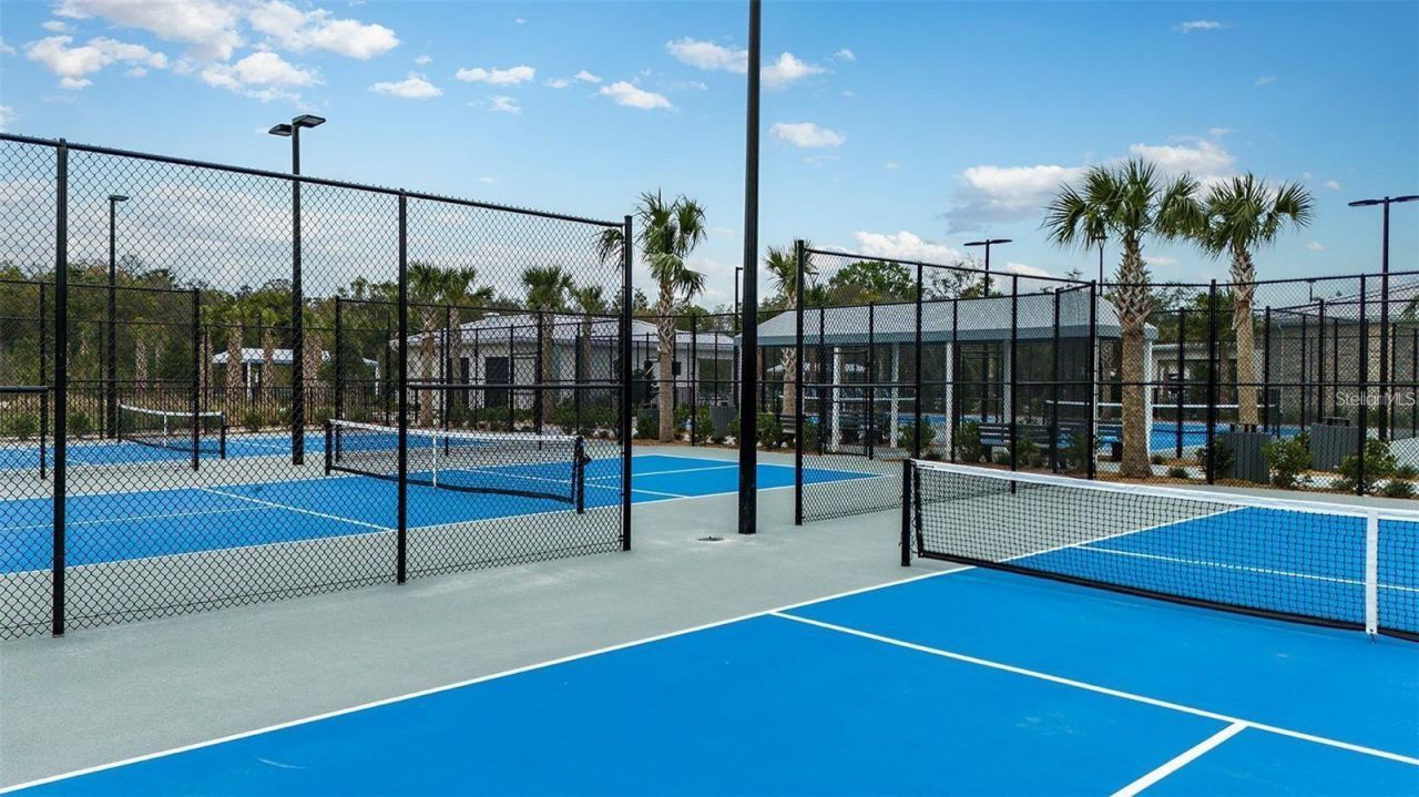 10892 Ibis Brook Court , Land O Lakes, FL 34638 Photo