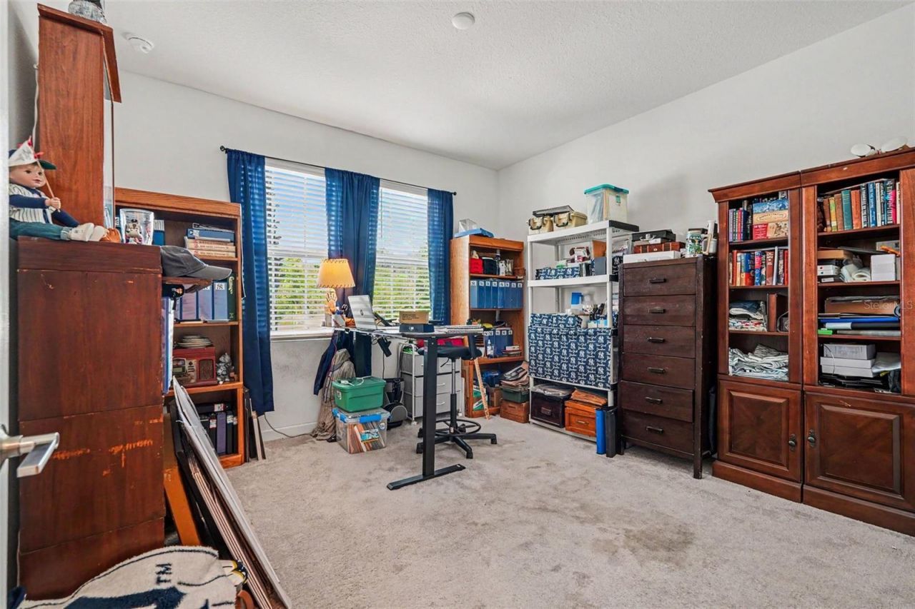 10892 Ibis Brook Court , Land O Lakes, FL 34638 Photo
