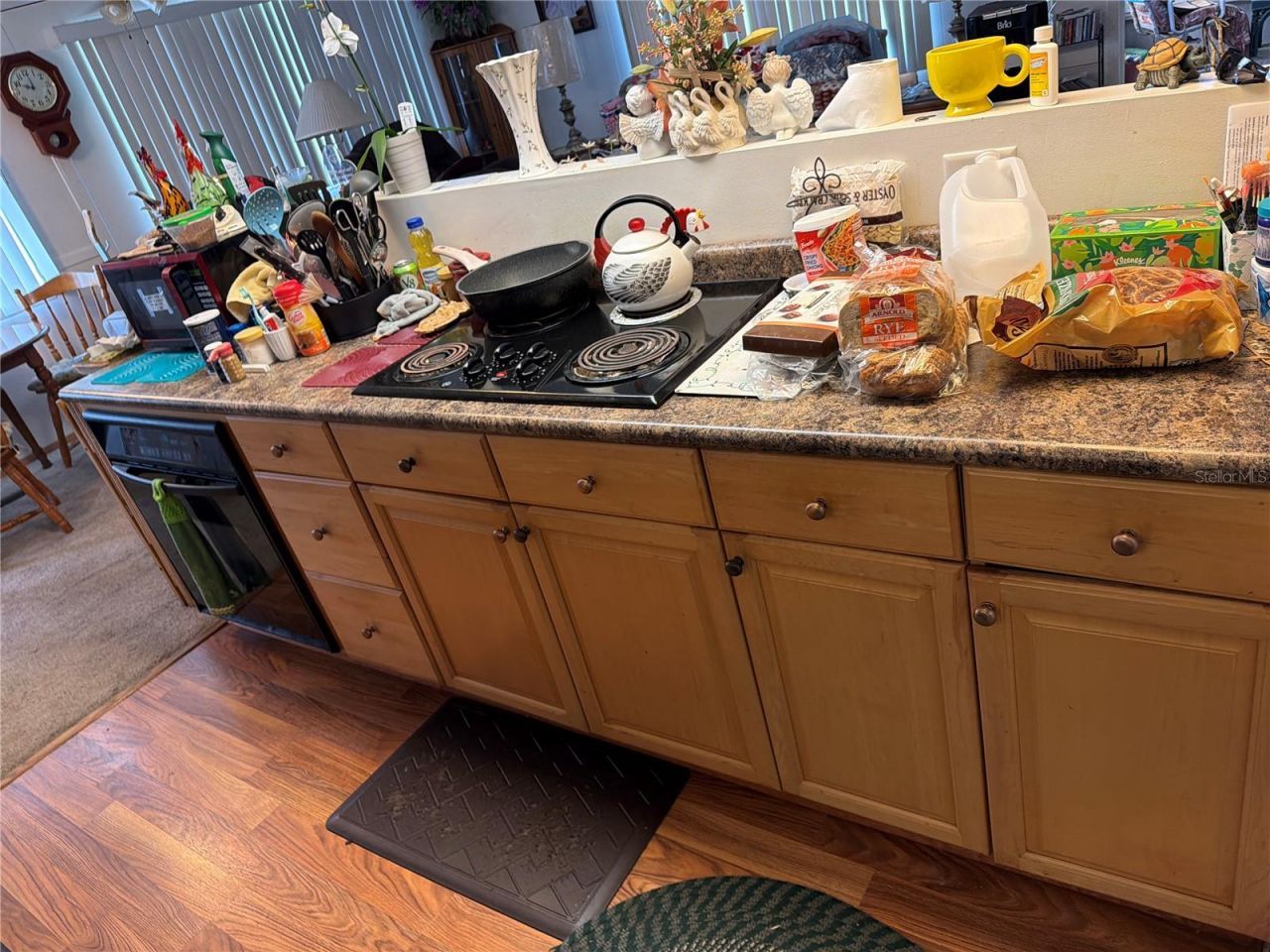2595 Brookside Circle , Mount Dora, FL 32757 Photo