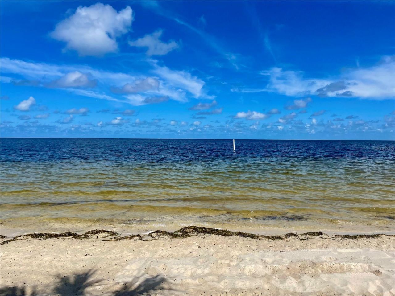 4678 Marine Parkway , Unit 204, New Port Richey, FL 34652 Photo