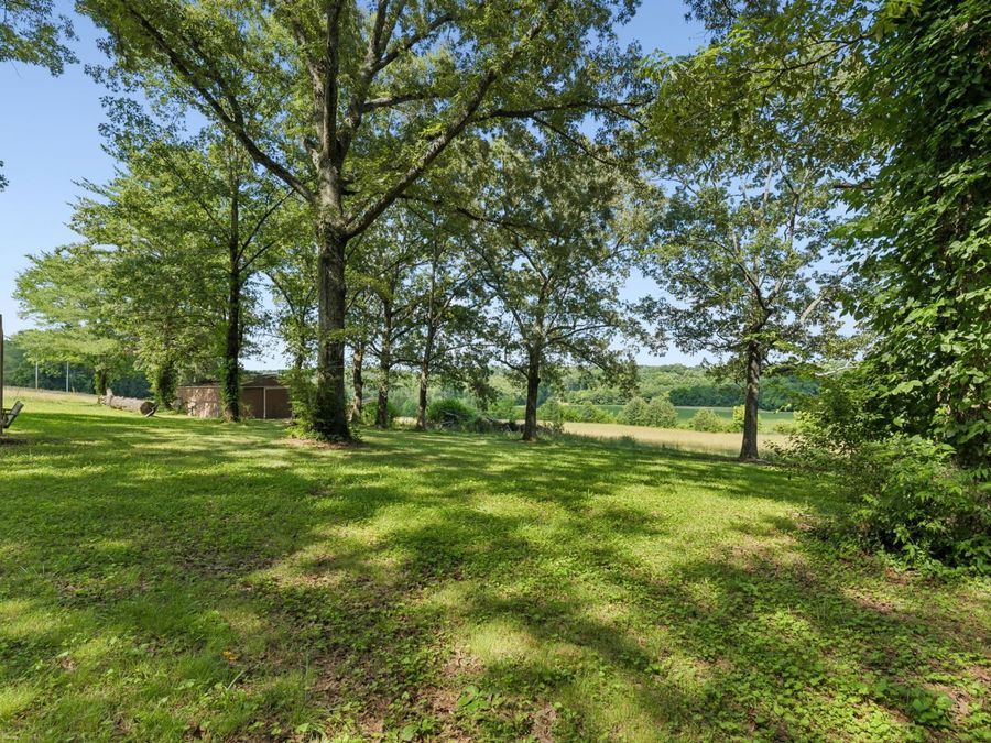 Property Image 46
